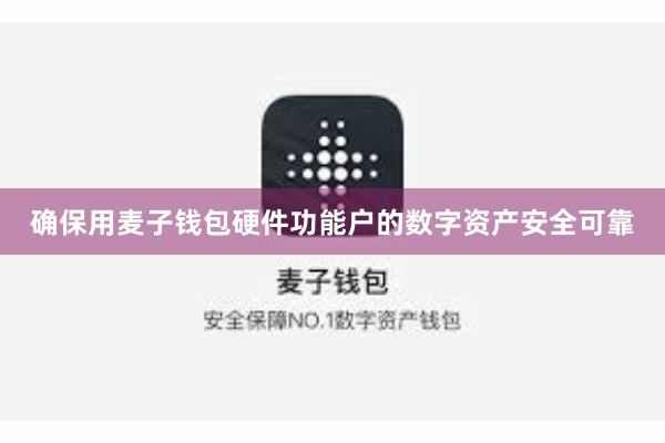 确保用麦子钱包硬件功能户的数字资产安全可靠