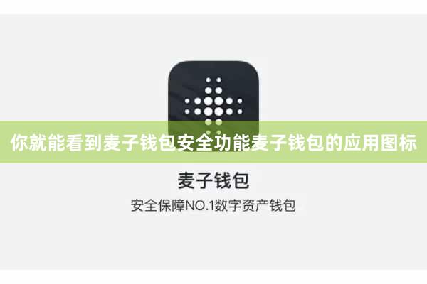 你就能看到麦子钱包安全功能麦子钱包的应用图标