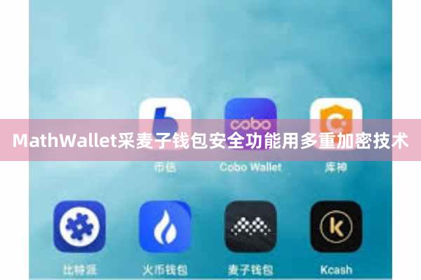 MathWallet采麦子钱包安全功能用多重加密技术