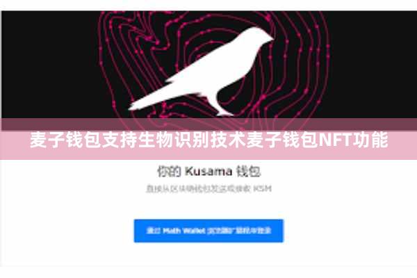 麦子钱包支持生物识别技术麦子钱包NFT功能