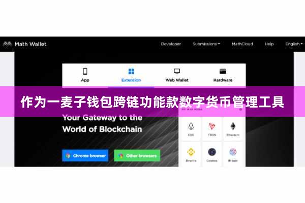 作为一麦子钱包跨链功能款数字货币管理工具