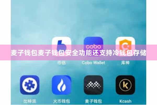 麦子钱包麦子钱包安全功能还支持冷钱包存储