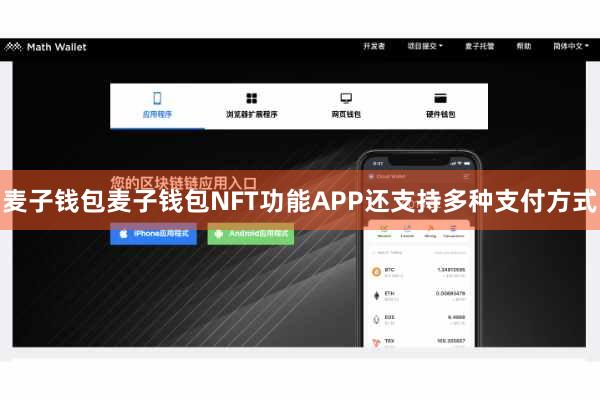 麦子钱包麦子钱包NFT功能APP还支持多种支付方式