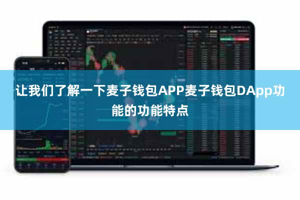 让我们了解一下麦子钱包APP麦子钱包DApp功能的功能特点