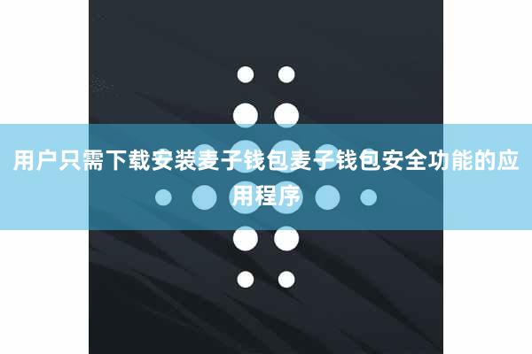 用户只需下载安装麦子钱包麦子钱包安全功能的应用程序