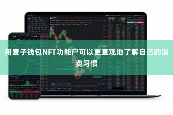 用麦子钱包NFT功能户可以更直观地了解自己的消费习惯