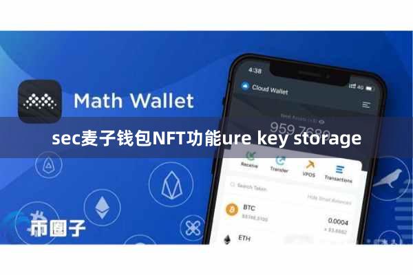 sec麦子钱包NFT功能ure key storage