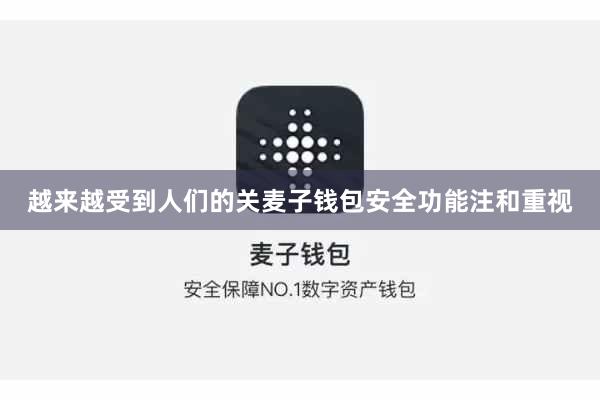 越来越受到人们的关麦子钱包安全功能注和重视