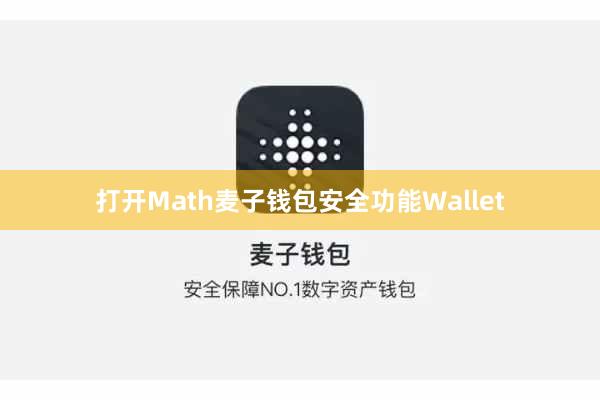 打开Math麦子钱包安全功能Wallet