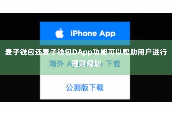 麦子钱包还麦子钱包DApp功能可以帮助用户进行理财规划