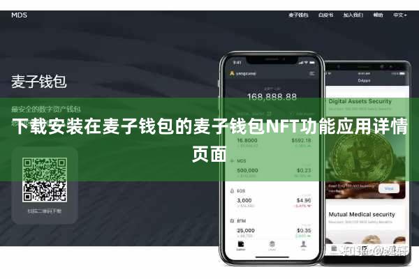 下载安装在麦子钱包的麦子钱包NFT功能应用详情页面