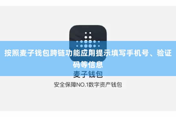 按照麦子钱包跨链功能应用提示填写手机号、验证码等信息
