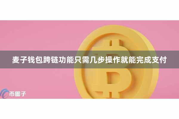 麦子钱包跨链功能只需几步操作就能完成支付