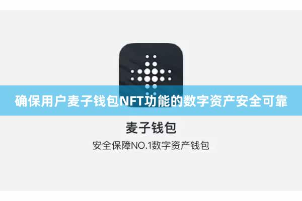 确保用户麦子钱包NFT功能的数字资产安全可靠