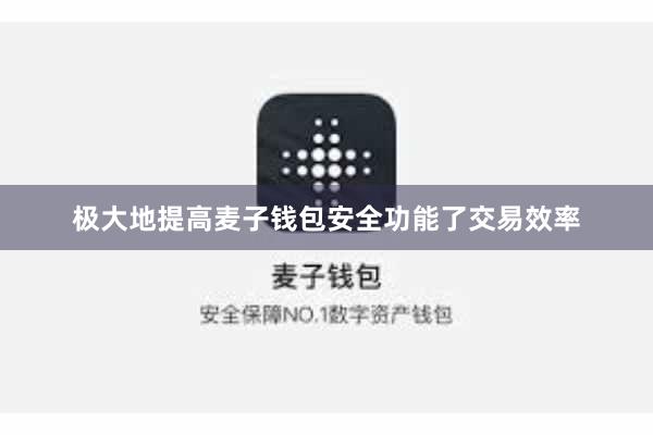 极大地提高麦子钱包安全功能了交易效率