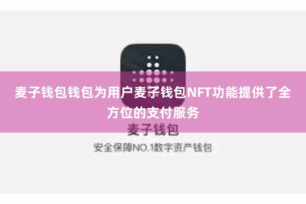 麦子钱包钱包为用户麦子钱包NFT功能提供了全方位的支付服务