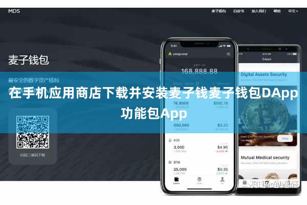 在手机应用商店下载并安装麦子钱麦子钱包DApp功能包App