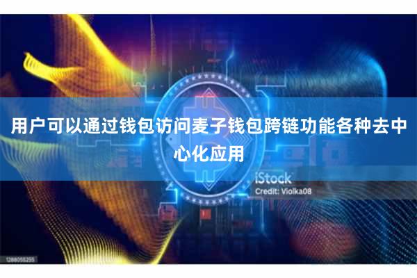 用户可以通过钱包访问麦子钱包跨链功能各种去中心化应用