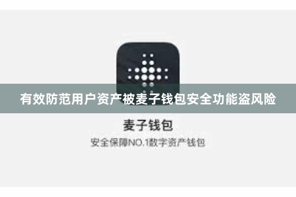 有效防范用户资产被麦子钱包安全功能盗风险