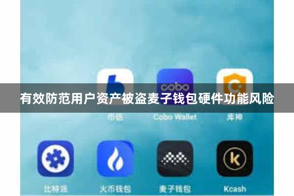 有效防范用户资产被盗麦子钱包硬件功能风险