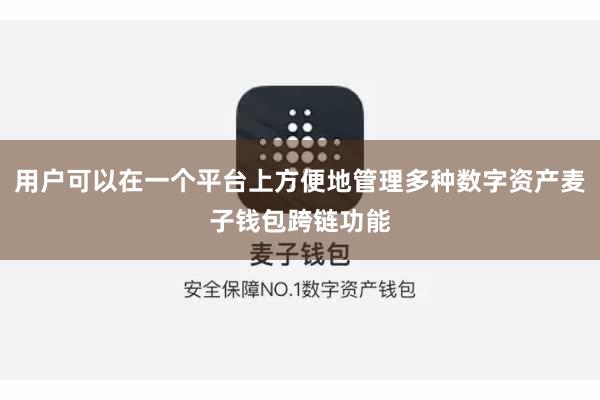用户可以在一个平台上方便地管理多种数字资产麦子钱包跨链功能